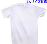 �X�^���_�[�hT�V���c